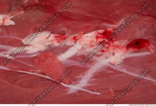 Photo Textures of RAW Beef Meat